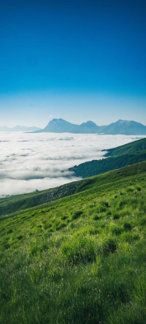 Beautiful Valley Green Grass Background