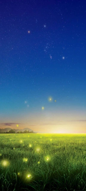 Fireflies over grassy field at night