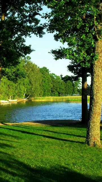 Lake View With Trees and Boats