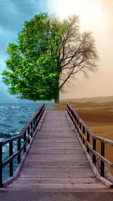 Pier to Tree and Desert Landscape