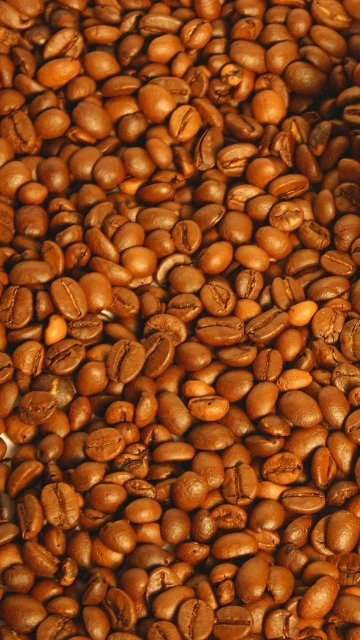 Roasted Coffee Beans