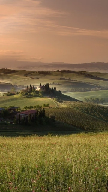 Rolling Green Hills at Sunset