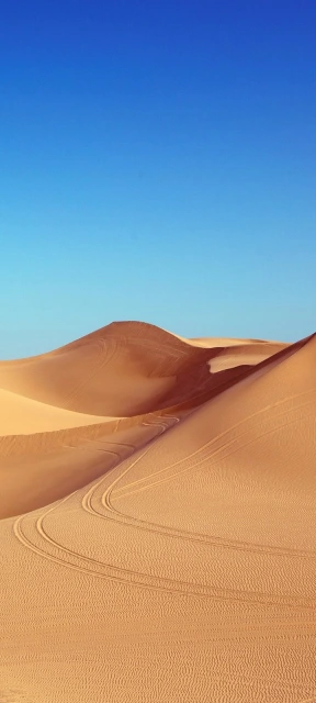Sand dunes with tire tracks