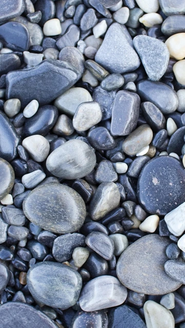 Smooth Gray River Pebbles