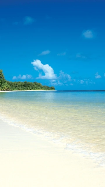 Tropical Beach With Clear Water and Blue Sky