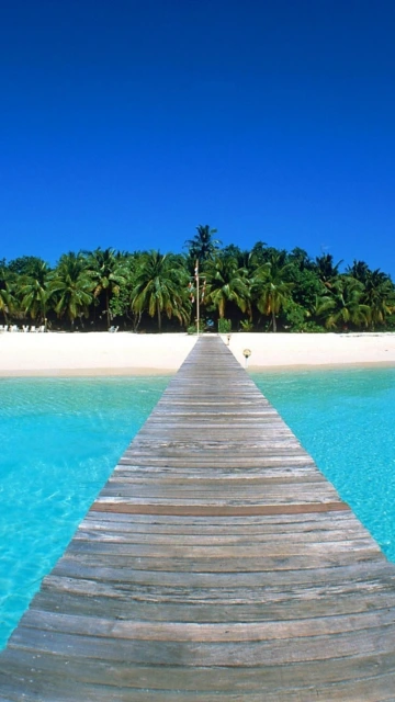Wooden Pier to Tropical Island Beach