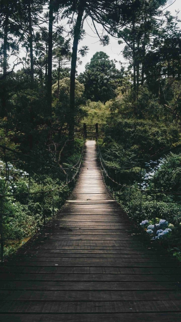 Bridge Over Lake 4K