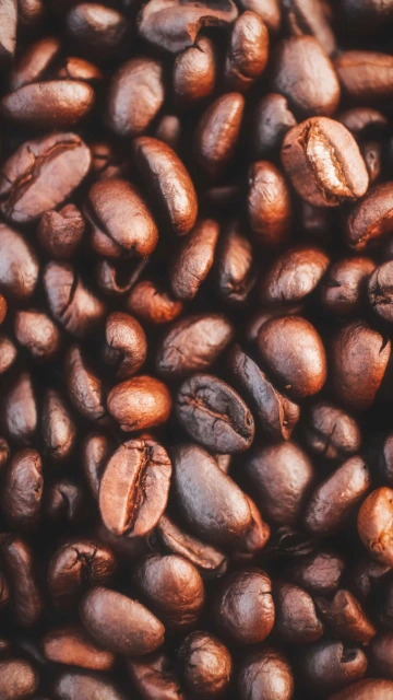 Coffee Bean 4K
