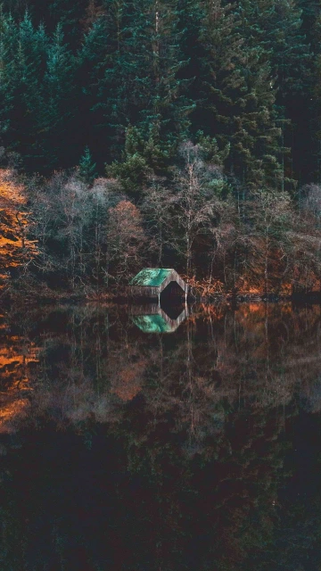 Greenery Trees At Ocean 4K