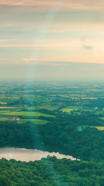 Natural Greenery 4K
