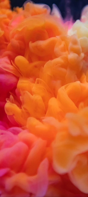 Orange Ink Bloom