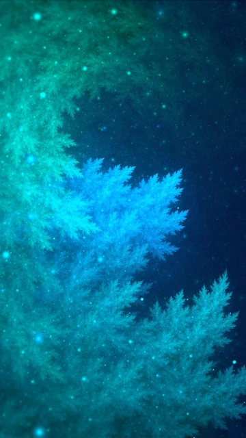Skied Trees 4K