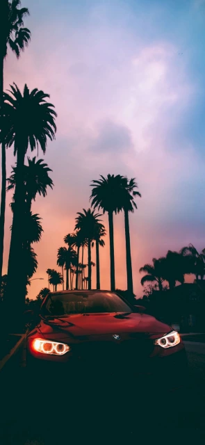 Red Car With Palm Trees at Sunset