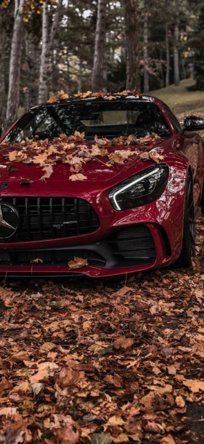 Red Mercedes Car in Autumn Leaves