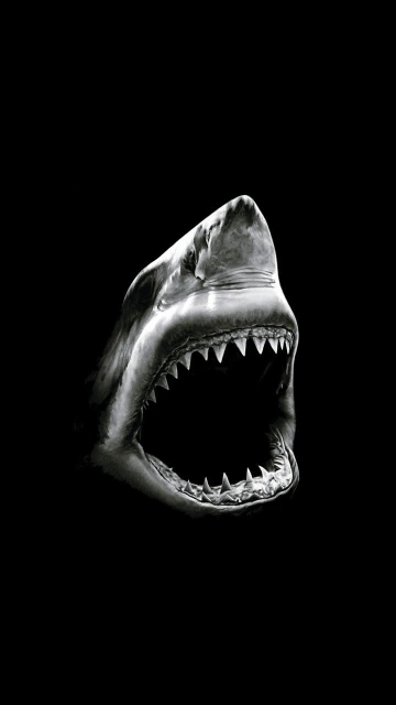 Shark Open Mouth