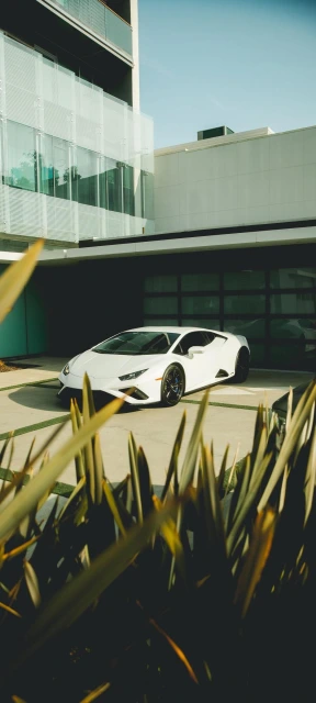 White Lamborghini in Front of Modern House