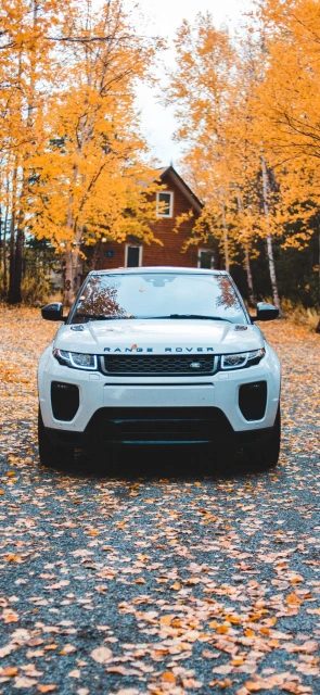 White Range Rover in Autumn Leaves