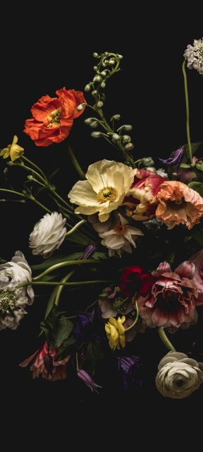 Colorful Floral Arrangement 2