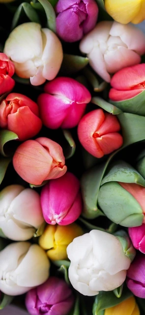 Colorful Tulip Bouquet