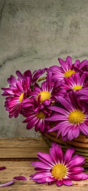Purple Flowers in Basket