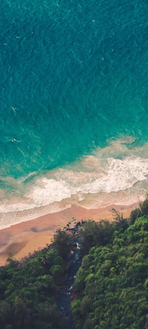 Aerial View of Beach and Ocean