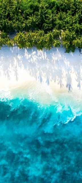 Aerial View of Tropical Beach