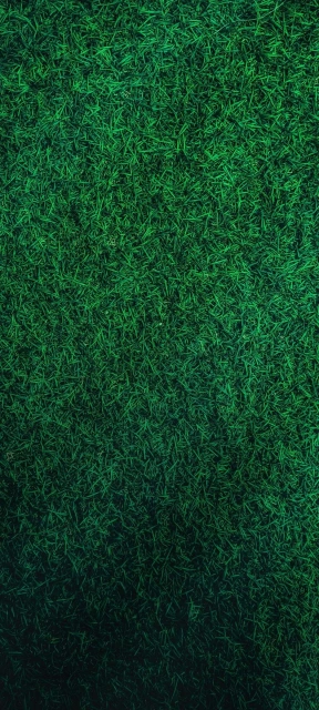 Beautiful Grass Wallpaper