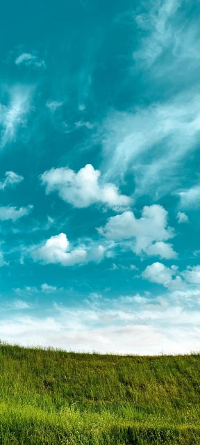 Blue Sky Over Green Grass