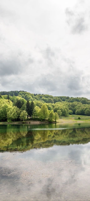 Lake Reflection of Forested Hill