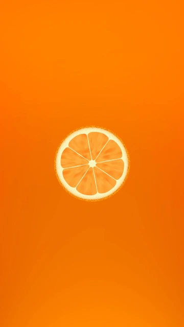 Orange Slice 1