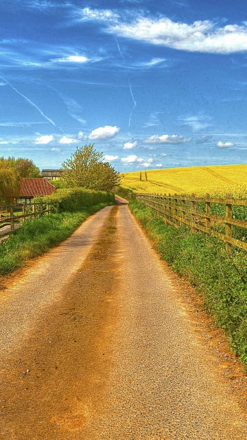 Road Field Fence House Landscape