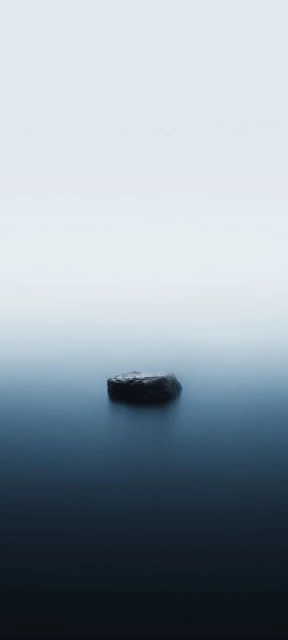 Single Stone in Mist