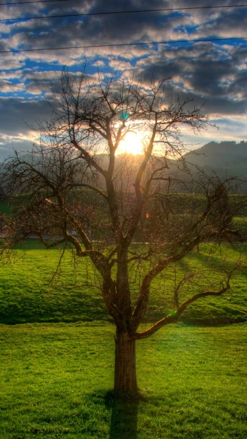 Sunset Field Stream Landscape