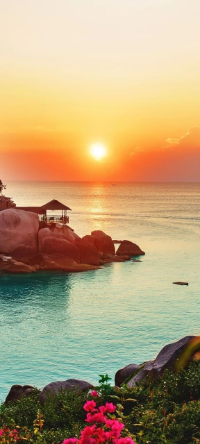 Sunset Over Ocean With Rocks and Flowers