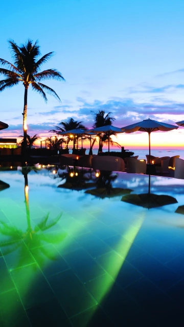 Tropics Sea Palm Trees Evening Sunset