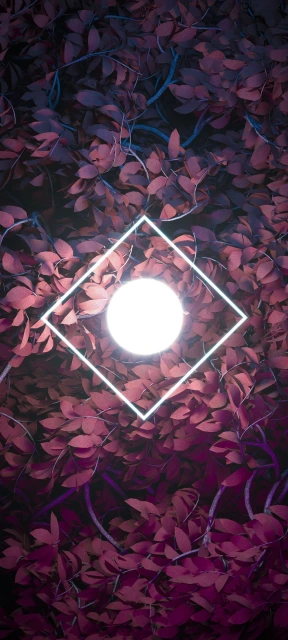 Neon Light in Leaves