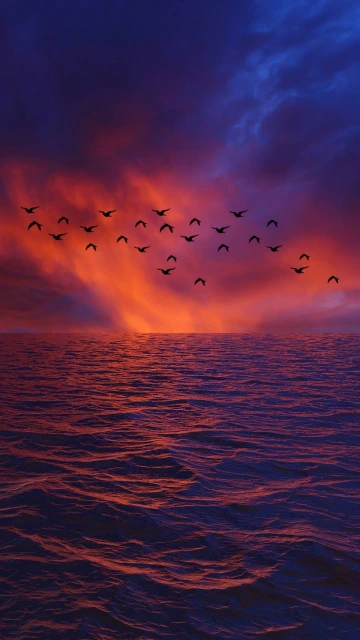 Waves Sky Birds