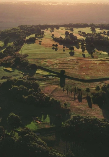 4K Natural Greenery