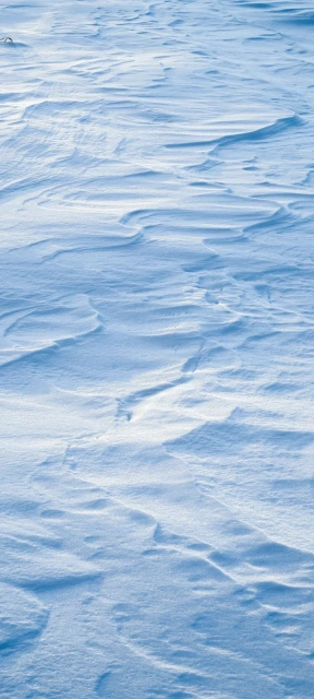 Close Up of Snow Surface