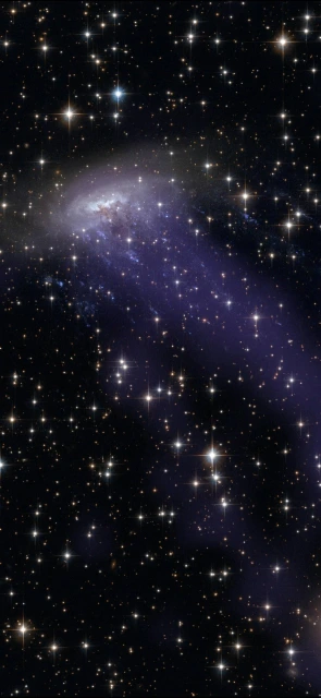 Galaxy and Stars in Space