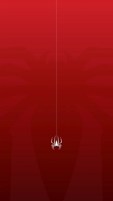 Red and White Spider