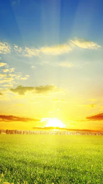 Sunrise Over Green Field
