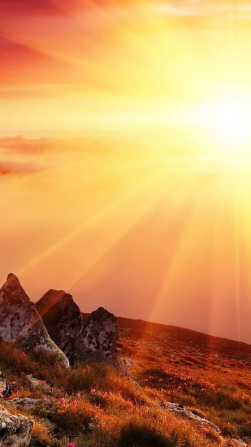 Sunrise Over Mountains With Flower Fields