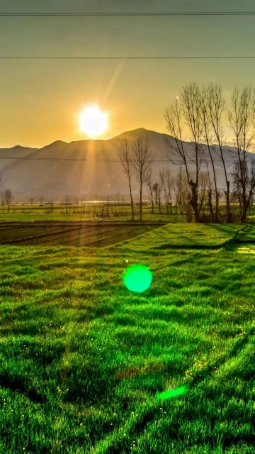 Sunset Over Green Fields