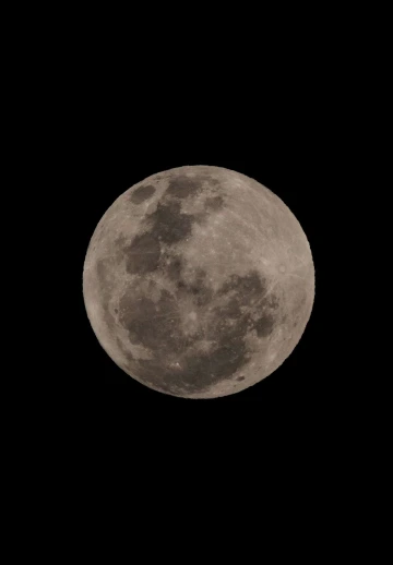 Amoeld Moon