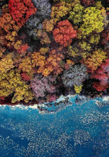 Beautiful Ocean