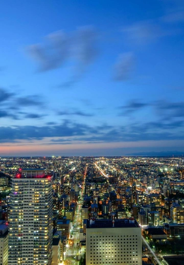 City Aerial View Buildings