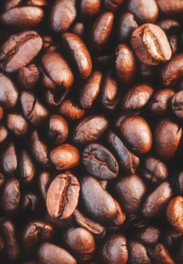 Coffee Bean
