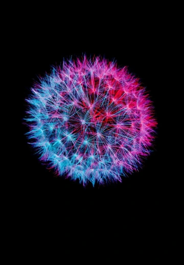 Colorful Amoled Black