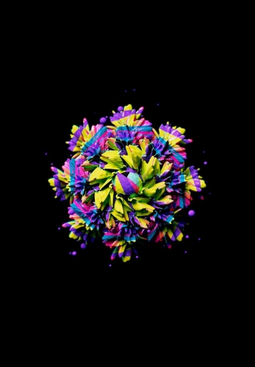 Colorful Flower